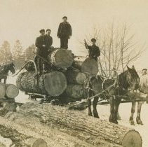 A load of logs being pulled