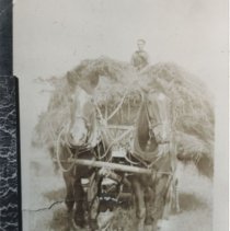 Charles Crandon on hay wagon