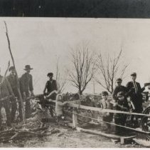 Wood buzzing on the farm