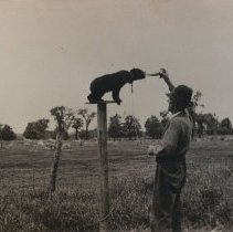 Herb Gilbert feeding a bear