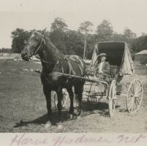 Harvey Hepburn and his horse Net