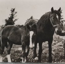 John and Stan Hepburn