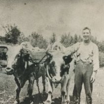 Burford Rydall and oxen