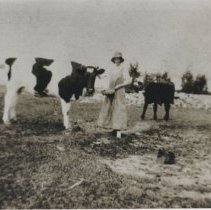 A woman with cattle