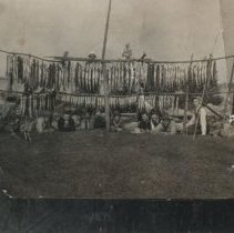 Fish caught in Berford Lake in one week