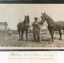 Harry Tuffnell and his racing horses