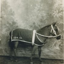 Mascot 124th Battln C.E.F.