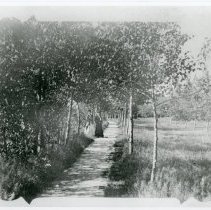 Lovers Lane, Kincardine, ON