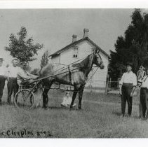 "Charlie Chaplin" Race Horse,  Kincardine, ON