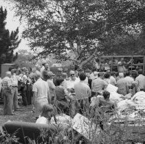 K-80-17-00 Auction sale for Reuben Wauch estate, Invermay.