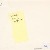 Girl in sunflowers reverse