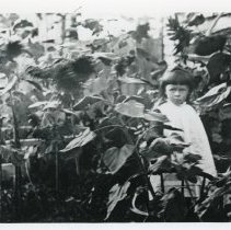 Girl in sunflowers front