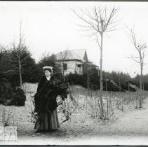Collecting vines for Christmas decorations front