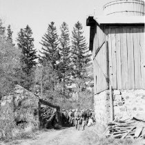 K-81-05-26 Collapsed repair shop at Stewart farm.