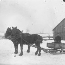 K-81-13-19 Farm sleigh being pulled by 2 horses, winter time.