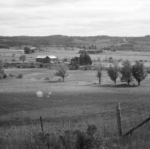 K-81-19-26 View of farm at lot 3, concession 4, Sydenham Township.