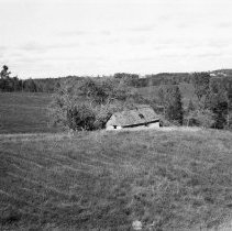 K-81-19-02 Death Valley south of Paisley - slaughterhouse.