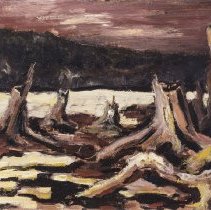 Stumps, Lake Kushog, Haliburton