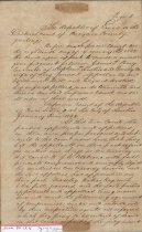 Contesting Austin's  Will