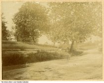 Image (Click to view)