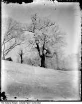 Farm landscape in winter, Rushville, Indiana, circa 1903