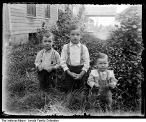 Boys posing in tall weeds, Rushville area, Indiana, circa 1903
