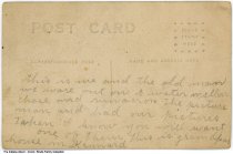 Woman in a horse and buggy in front of Isaac Cronk's home, Kennard, Indiana