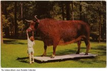 Boy with "Old Ben," taxidermy World's Largest Steer, Kokomo, Indiana, circa 1965