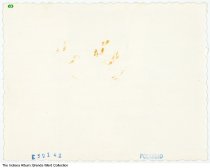 Mercer's Garage customers, Wellsboro / Union Mills, Indiana, circa 1955