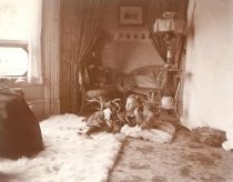 Lorna Hooper & Romus