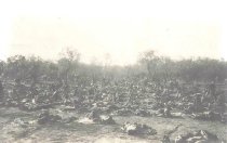 2nd Wisconsin on Maneuvers