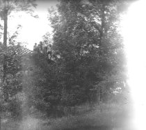 Negative, Glass Plate