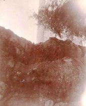 M. Rice posing on a rock