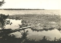 Floating Bog on Lake Butte des