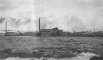 Bog on the Fox River, April 1906