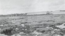 Bog on the Fox River, April 1906