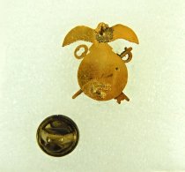 Badge, Military