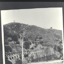 Lumbering, Terry Mill, Flume