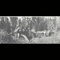 Logging, Equipment, Terry Mill