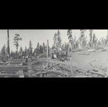 Logging, Equipment, Terry Mill