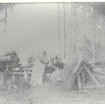 Logging, Railroad, Terry Mill