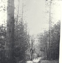 Logging/Lumber, Terry Mill, Flume