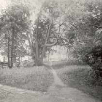 Butternut Path in Front of Harvey House on Apple Island