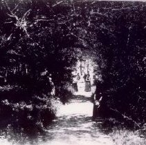 Apple Island "Ghost Walk"