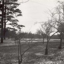 Keego Harbor - Abbott to St. Mary's