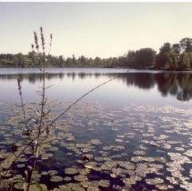 West Bloomfield - Small Lake