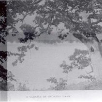 Glimpse of Orchard Lake