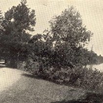 Driveway around Orchard Lk