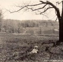 A Meadow Scene - Nature Park with Marjorie Ward