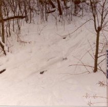 West Bloomfield Sanctuary Ski Trail (1990)
